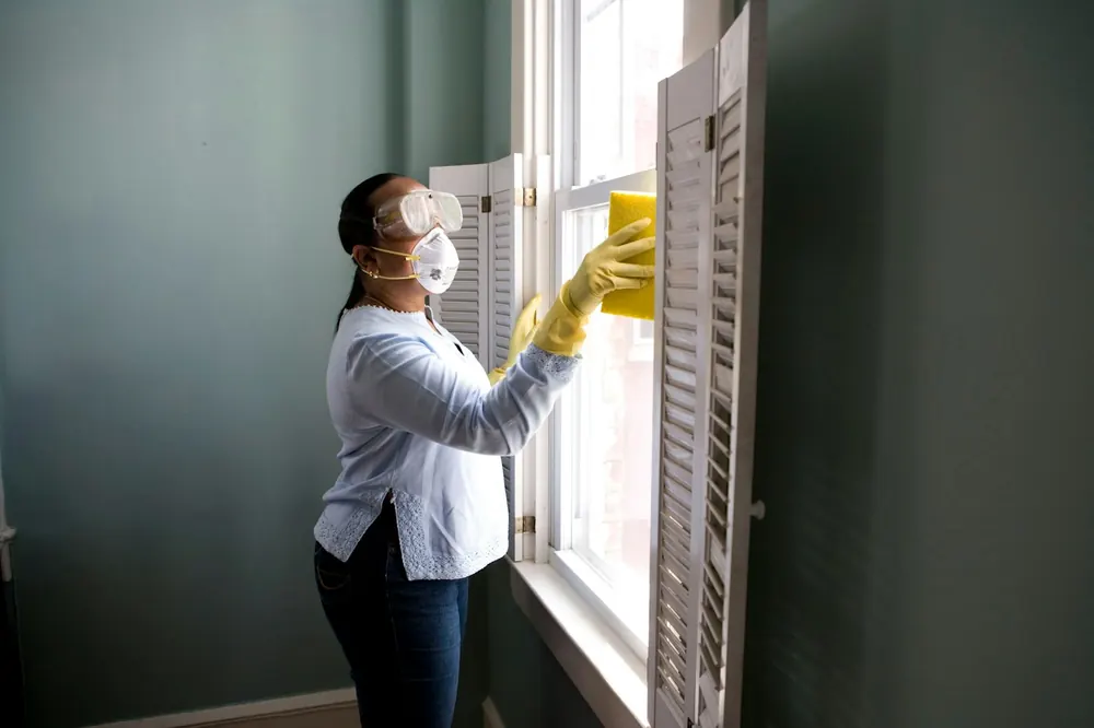 Cleaner washing the inside of a window